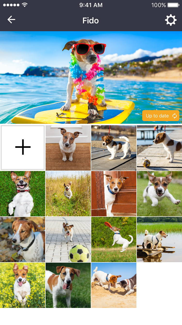 A lens folder, collecting everything shared through it.